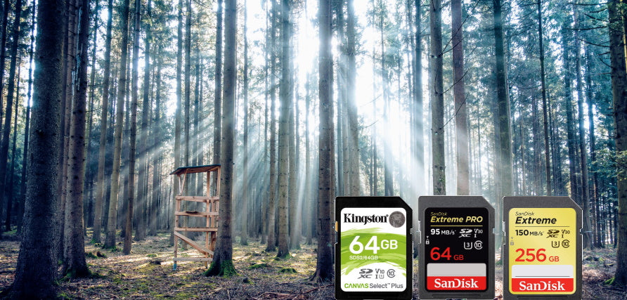 SD card trail cam