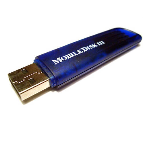 GoRAM 256MB FMG256S USB 2.0 Flash Drive