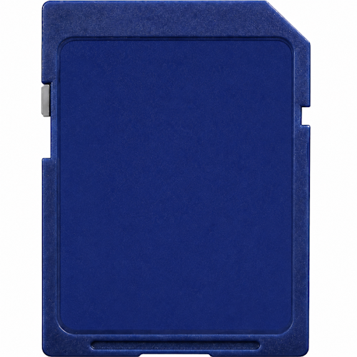 GoRAM 256MB SD-256MB-NL3088SAM SD Memory Card 60X