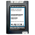 Delkin  256GB DE2HNKCXP-17000-D SATAII