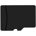 GoRAM  4GB MSDHC-4GB-S10AS-KO microSDHC Memory Card C10