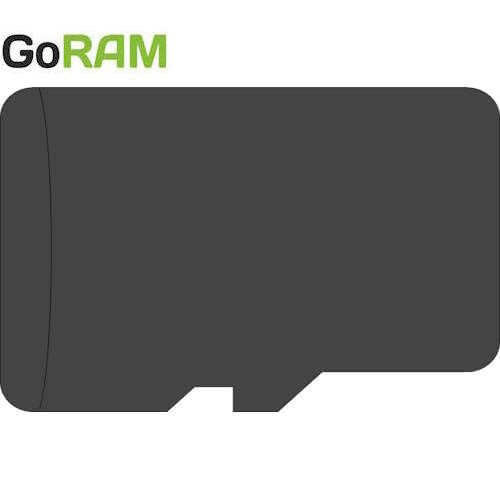 GoRAM  256MB GRAXMIC-256MB-TW microSD Memory Card 80X