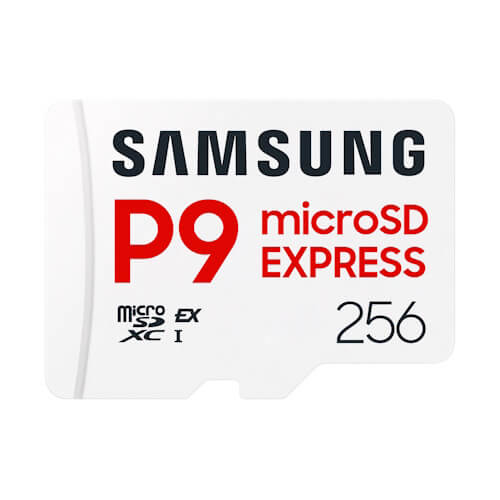 GORAM P9 Express 256GB MB-MK256T/WW microSDXC Memory Card NVME PCIE 3.0 X1